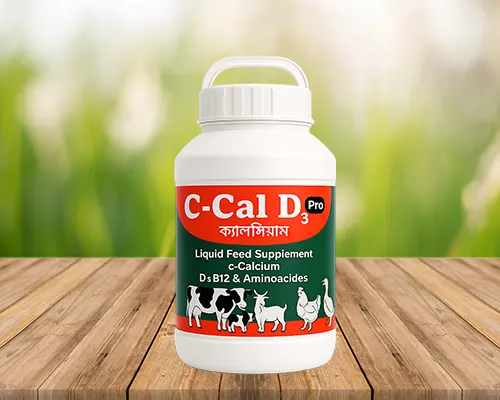Calcium Supplement Calcium Supplement